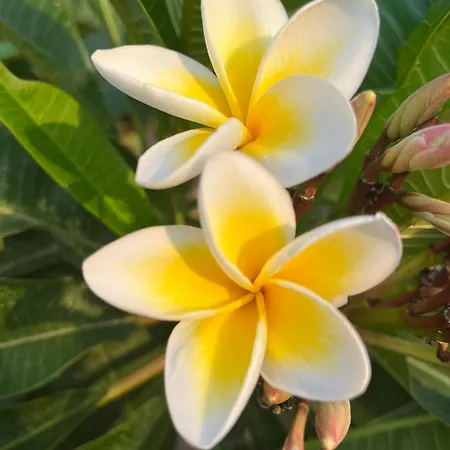 Saint Clair, Vue A Couper Le Souffle