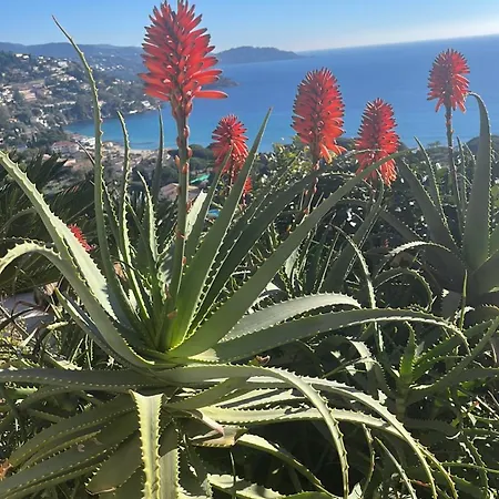 Saint Clair, Vue A Couper Le Souffle 民宿 *