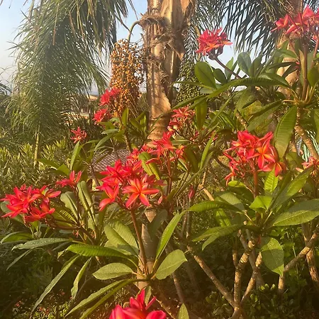 Saint Clair, Vue A Couper Le Souffle Le Lavandou