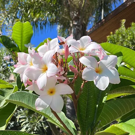 Saint Clair, Vue A Couper Le Souffle