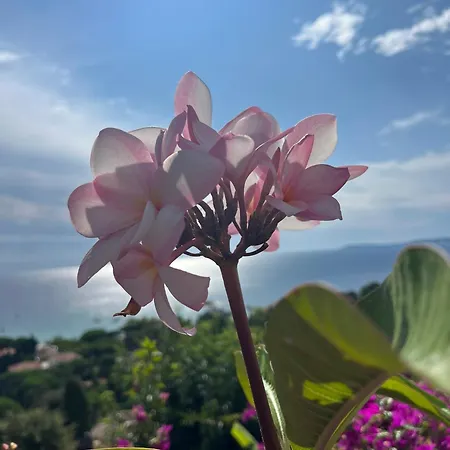 Saint Clair, Vue A Couper Le Souffle 勒拉旺杜