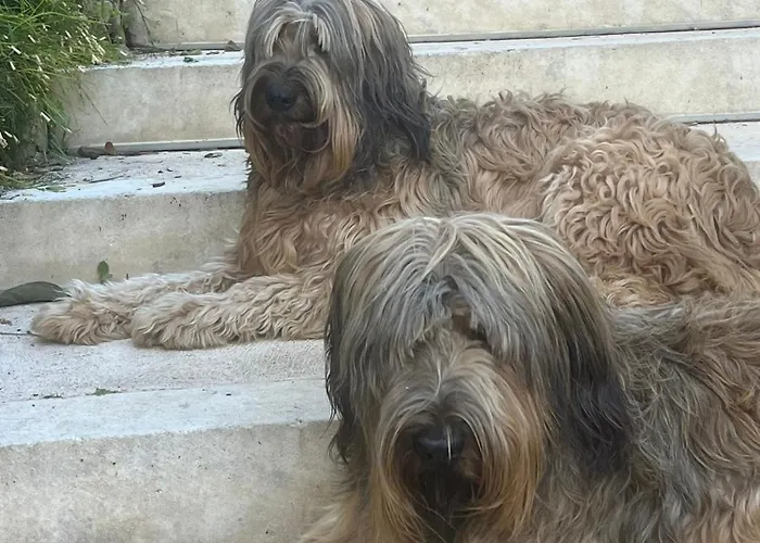 Saint Clair, Vue A Couper Le Souffle منزل للإقامة *