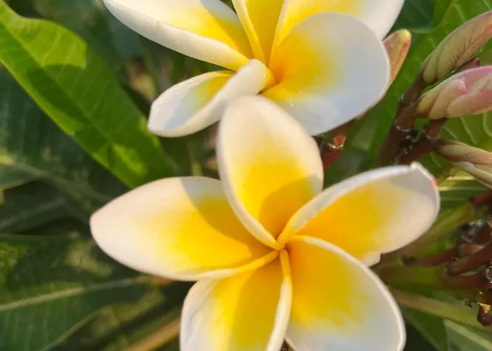 Saint Clair, Vue A Couper Le Souffle