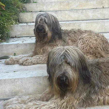 Saint Clair, Vue A Couper Le Souffle Проживання в сім'ї *