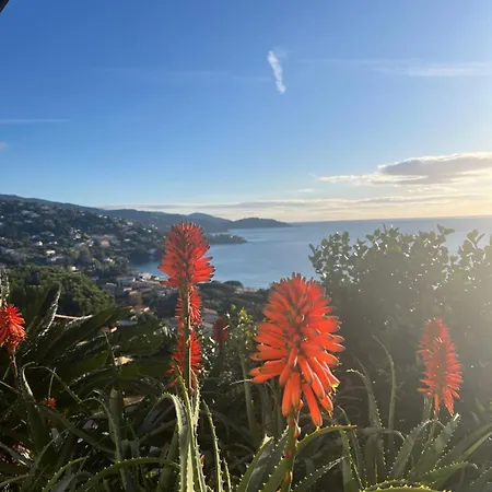 Saint Clair, Vue A Couper Le Souffle Le Lavandou