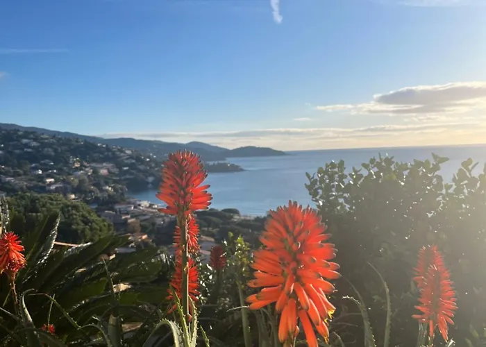 Saint Clair, Vue A Couper Le Souffle Le Lavandou
