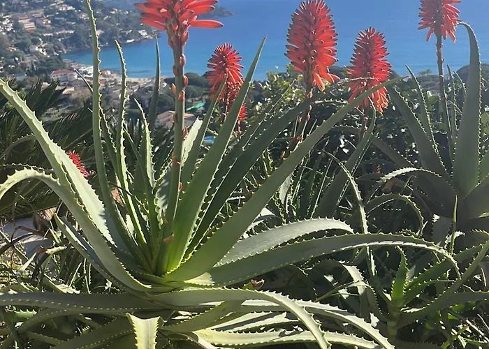 Saint Clair, Vue A Couper Le Souffle Rum i privatbostad *