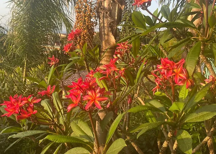 Saint Clair, Vue A Couper Le Souffle Le Lavandou