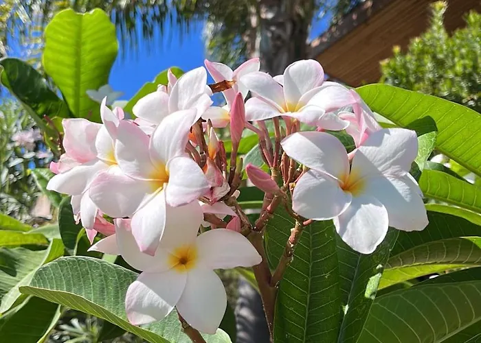 Saint Clair, Vue A Couper Le Souffle