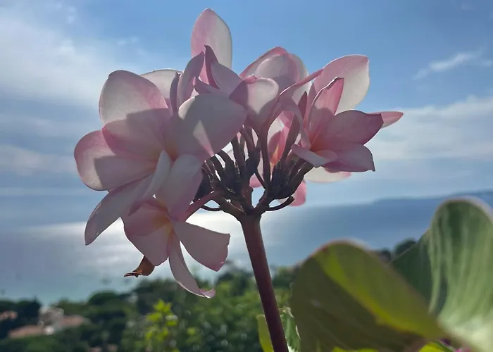 Saint Clair, Vue A Couper Le Souffle Le Lavandou